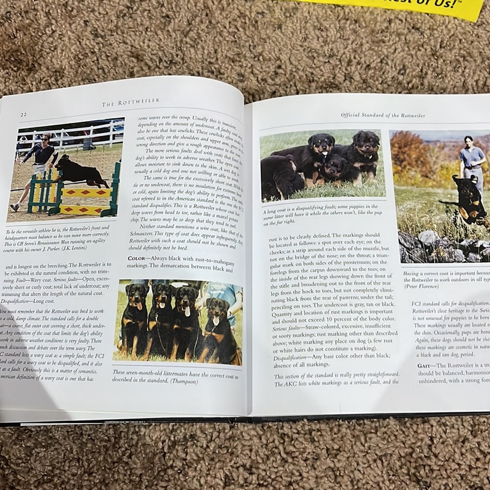 ✨ Host Pick✨ 2 Rottweiler books. - Picture 5 of 13